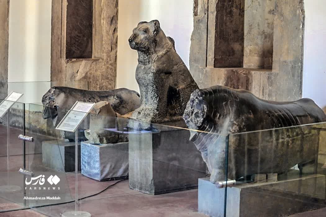 موزه‌ داری زیر آتش جنگ!