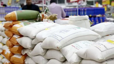 به گزارشاقتصادمحور به نقل از روستانیوز: الهام صادقی| غلامرضا نوری، وزیر جهاد کشاورزی با تازگی از حذف ارز ترجیحی واردات برنج خبر داده است، تصمیمی که بخشی از روند تدریجی حذف ارز ترجیحی از کالاهای اساسی به شمار می‌رود و واردات برنج را به نرخ ارز تالار دوم مرکز مبادله که حدود ۷۰ هزار تومان است، وابسته می‌کند.