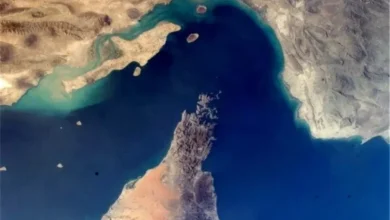 به گزارش اقتصادمحور به نقل از مانا، مسعود پلمه، دبیر انجمن شرکت‌های کشتیرانی درباره ادعای نتانیاهو درباره دور زدن تنگه هرمز و تغییر مسیر تردد کشتی‌های و خطوط لوله نفت گفت: اظهار نظر‌هایی که افرادی مانند نتانیاهو دارند، معمولاً اظهارات سیاسی و غیرعقلی است. بزرگترین بندر منطقه، بندر جبل‌علی محسوب می‌شود و اگر قرار باشد این بندر تعطیل باشد، مگر امکان دارد این بندر را به مسیر عربستان منتقل کنیم تا تردد دریایی به آن منطقه منحرف شود؟