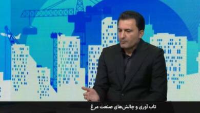 به گزارش اقتصادمحور به نقل از وزارت جهاد کشاورزی، روحاله زحمتکش در برنامه میز اقتصاد شبکه خبر با موضوع "بررسی وضعیت تابآوری و چالشهای صنعت مرغ"، با بیان اینکه روند تولید مرغ پیچیده و زمانبر است، اظهار داشت: تولید جوجه یکروزه در واحدهای مرغ مادر نزدیک به هفت ماه زمان میبرد و پس از آن نیز، دورههای خواب یا پرورش و رسیدن به مرحله کشتار مستلزم فعالیتها و صرف زمانهای مشخصی است که کوچکترین خلل در هر یک از این مراحل میتواند کل چرخه را دچار مشکل کند.