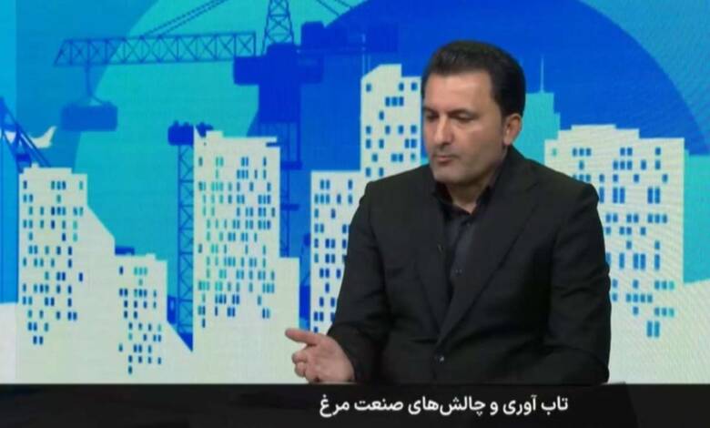 به گزارش اقتصادمحور به نقل از وزارت جهاد کشاورزی، روحاله زحمتکش در برنامه میز اقتصاد شبکه خبر با موضوع "بررسی وضعیت تابآوری و چالشهای صنعت مرغ"، با بیان اینکه روند تولید مرغ پیچیده و زمانبر است، اظهار داشت: تولید جوجه یکروزه در واحدهای مرغ مادر نزدیک به هفت ماه زمان میبرد و پس از آن نیز، دورههای خواب یا پرورش و رسیدن به مرحله کشتار مستلزم فعالیتها و صرف زمانهای مشخصی است که کوچکترین خلل در هر یک از این مراحل میتواند کل چرخه را دچار مشکل کند.